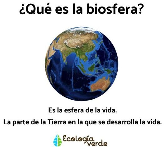 Biosfera para Niños: Concepto Explicado de Forma Sencilla 1 biosfera para ninos concepto explicado de forma sencilla