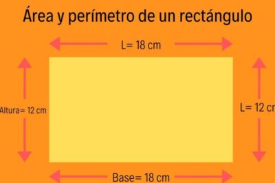 calcula el area y perimetro de un rectangulo sin errores
