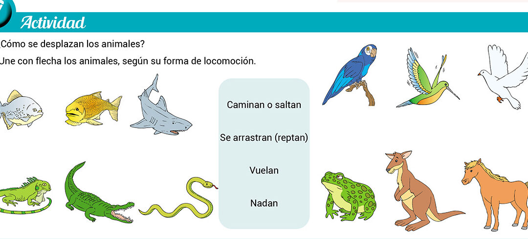 Clasificación de los animales según su desplazamiento: Exploradores del ...