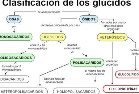 Clasificación de los glúcidos: El papel de los carbohidratos en la vida 1 clasificacion de los glucidos el papel de los carbohidratos en la vida