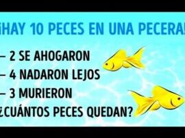 desafia tu mente con estas adivinanzas dificiles y sus respuestas