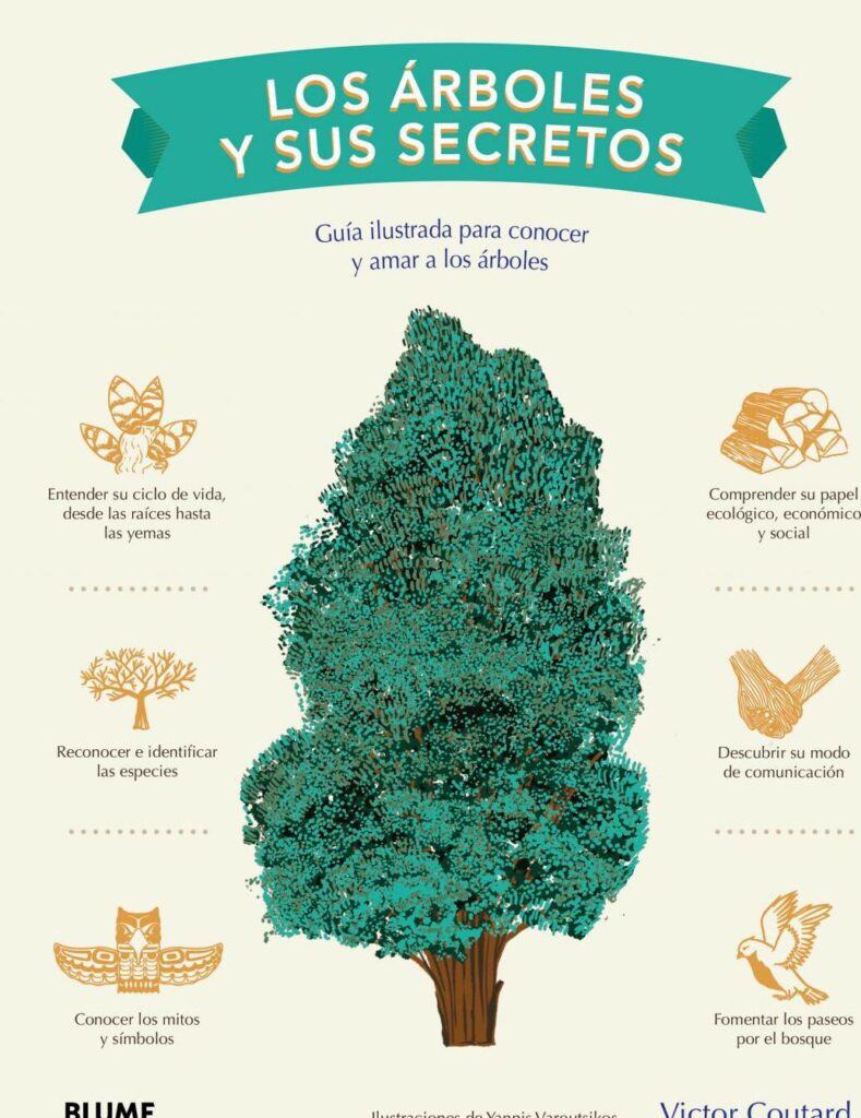 Misterios revelados: ¿Cómo se alimentan los árboles? 1 misterios revelados como se alimentan los arboles