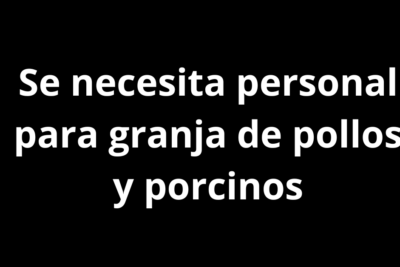 Se necesita personal para granja de pollos y porcinos